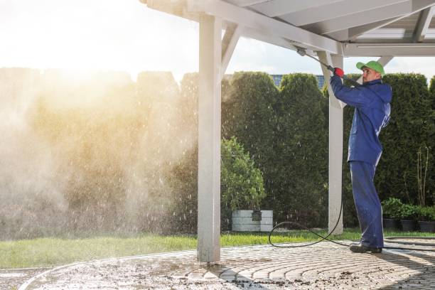 Boat and Dock Cleaning in Donna, TX