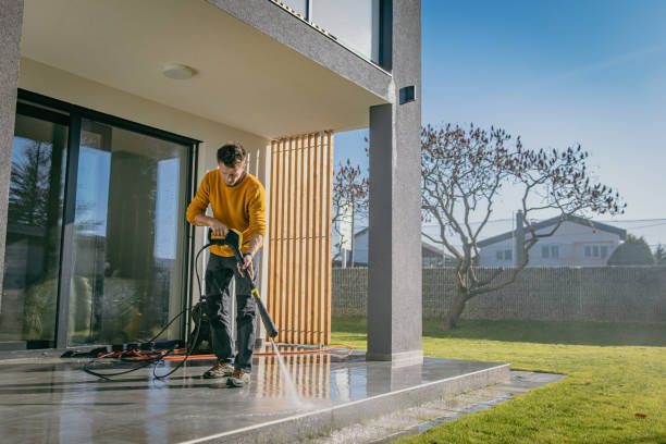 Solar Panel Cleaning in Donna, TX